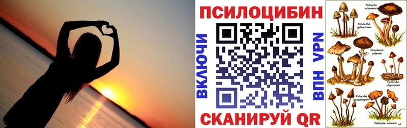 Псилоцибиновые грибы ЛСД  Стерлитамак 
