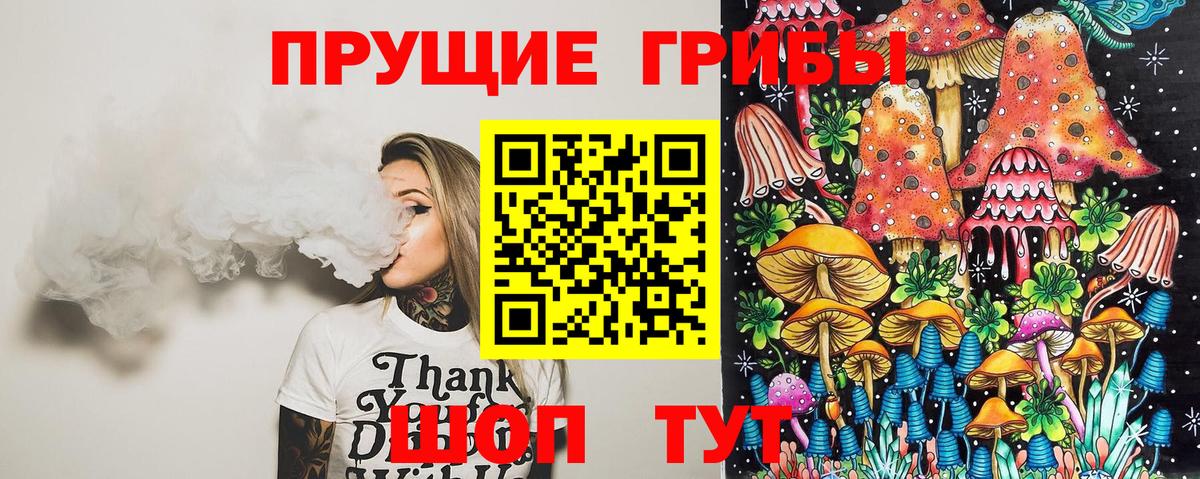 Стерлитамак  даркнет сайт  Вход с VPN  Псилоцибиновые грибы мухоморы 