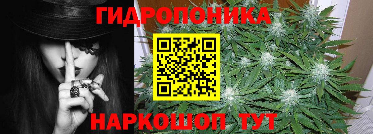 Конопля семена  Шишки марихуана ГИДРОПОН  Стерлитамак  Вход с VPN 